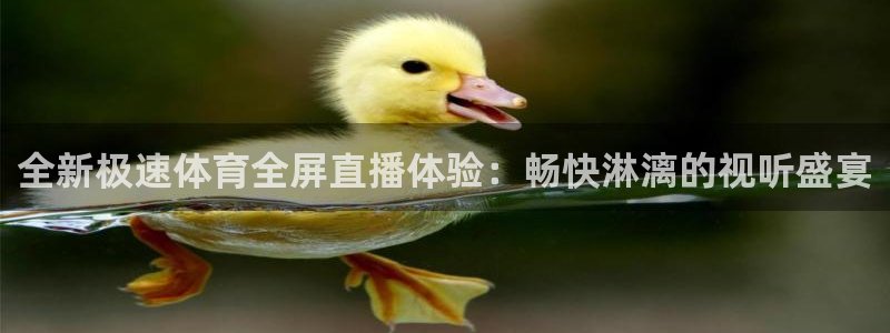 857足球体育赛事直播