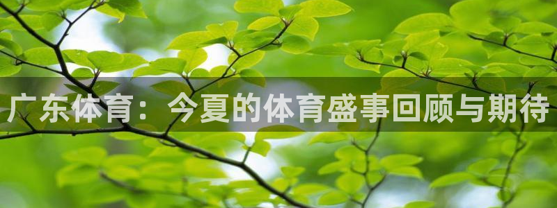 857直播体育间