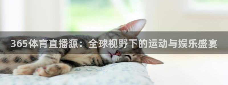 857直播体育官网