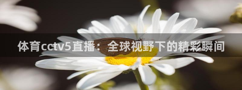857体育直播平台