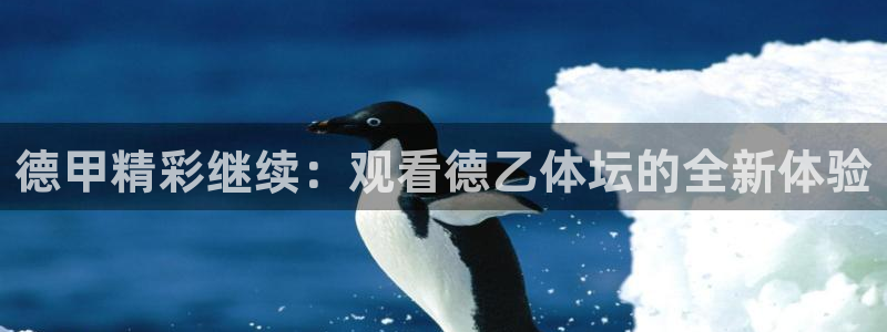 857体育直播在线观看免费下载
