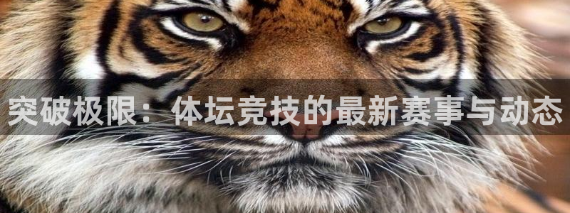 857专业体育赛事直播平台
