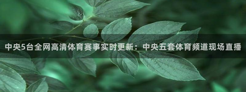 857直播看球直播间：中央5台全网高清体育赛事实时更新：中央五套体育频道现场直播