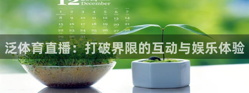 857直播nba直播：泛体育直播：打破界限的互动与娱乐体验